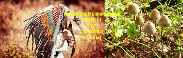 гидропоника Абинск